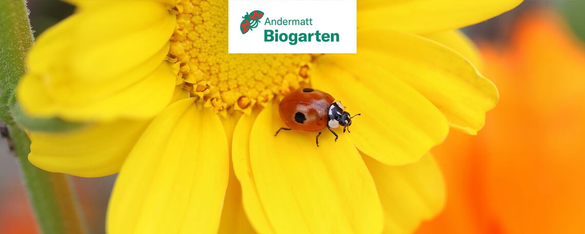 Logistikmitarbeiter:innen & Gärtner:innen (m/w/d) 40-100 % befristet, 1. Bild